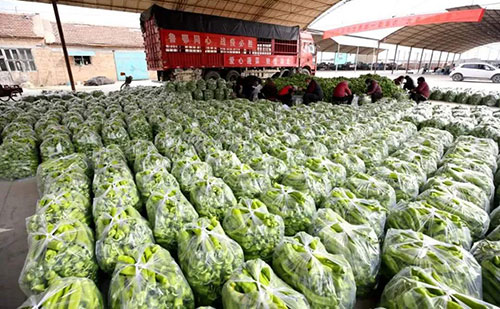 我是湖南長沙蔬菜批發(fā)市場，買多少錢的農(nóng)藥殘留檢測儀合適？