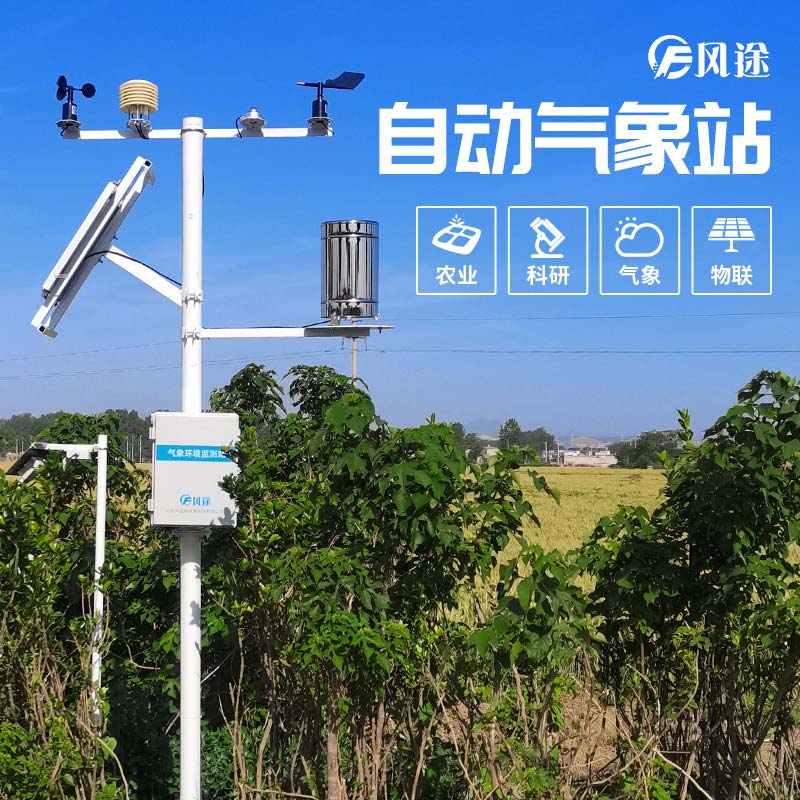 小麥穗期病蟲(chóng)害如何監(jiān)測(cè)？